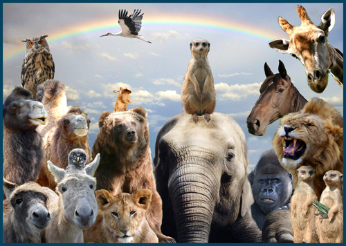 Unser kompetentes Team lässt keine Wünsche offen